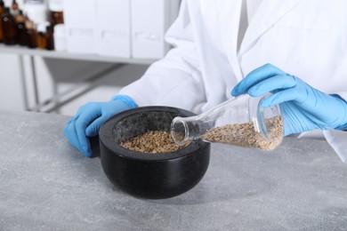 Photo of Laboratory testing. Scientist pouring oat grains into mortar at grey table indoors, closeup