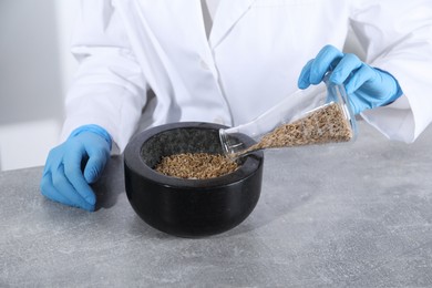 Photo of Laboratory testing. Scientist pouring oat grains into mortar at grey table indoors, closeup