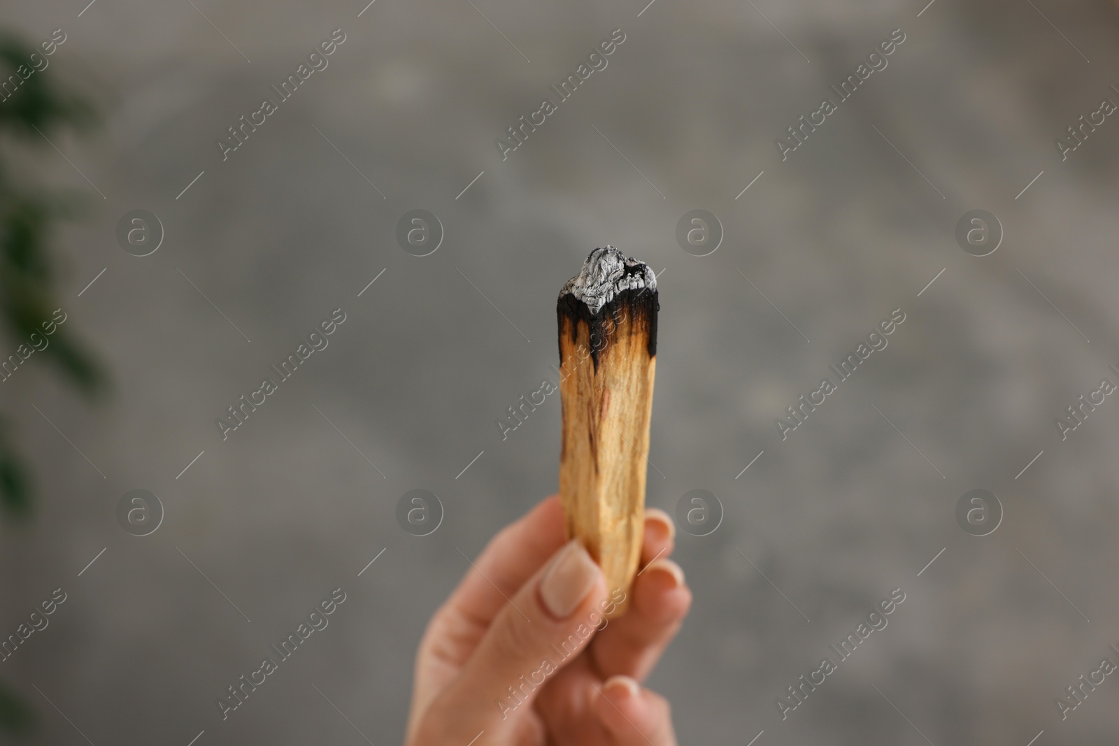 Photo of Woman with burnt palo santo stick indoors, closeup