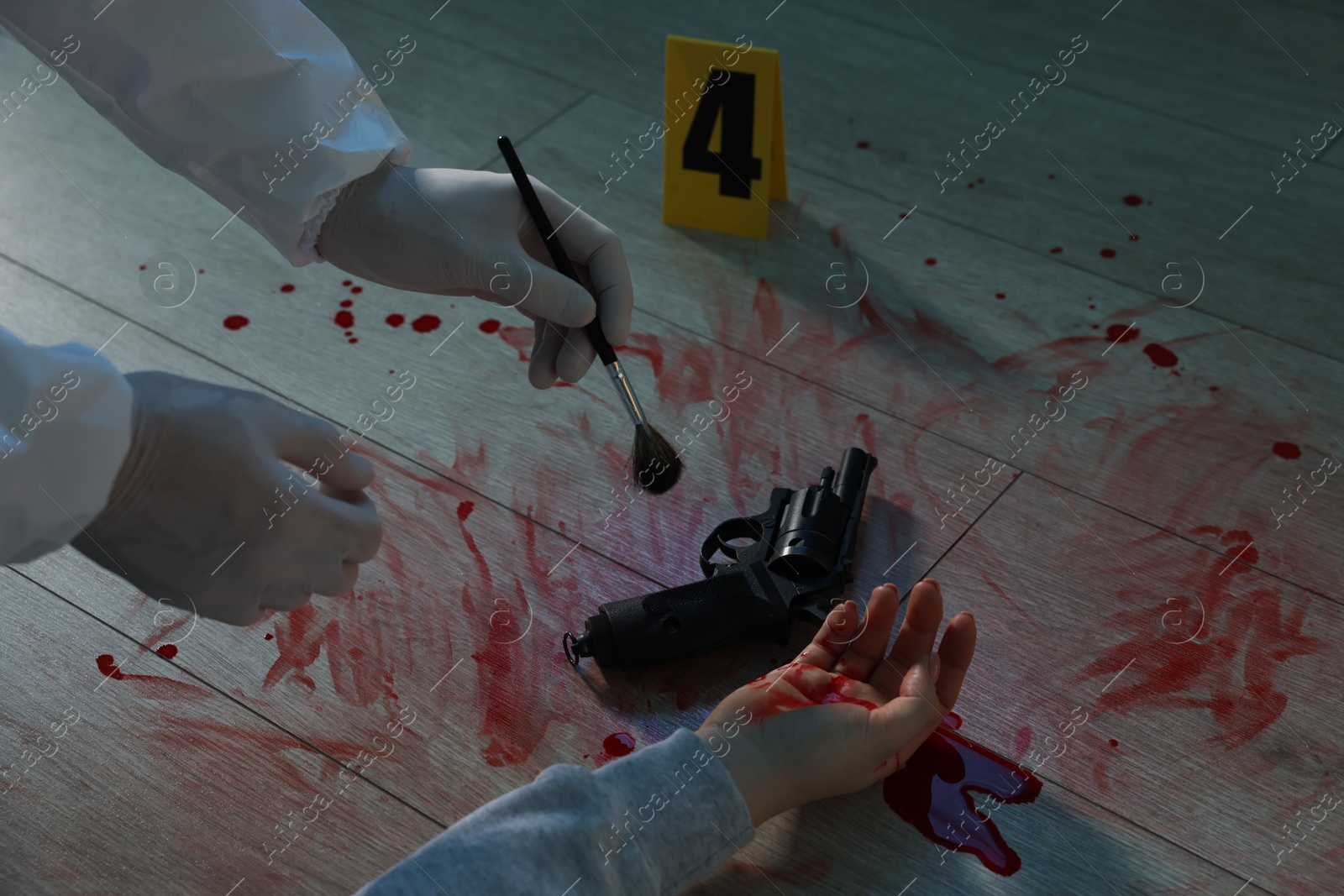 Photo of Forensic expert taking fingerprints with brush from gun and dead woman's body at crime scene indoors, closeup