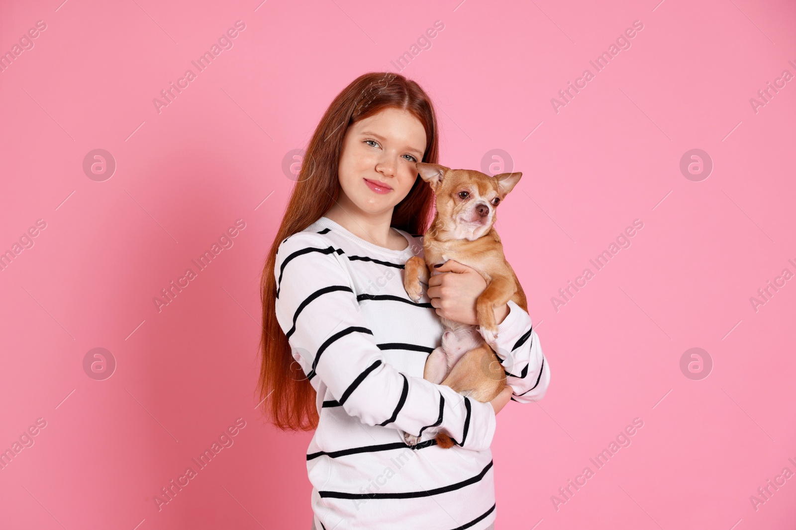 Photo of Teenage girl with her cute Chihuahua dog on pink background