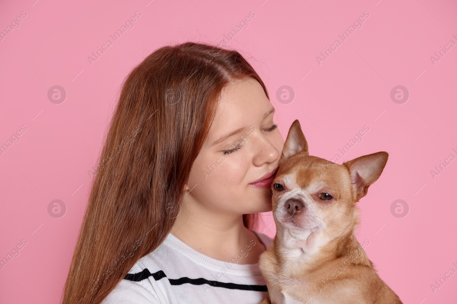 Photo of Teenage girl with her cute Chihuahua dog on pink background, closeup