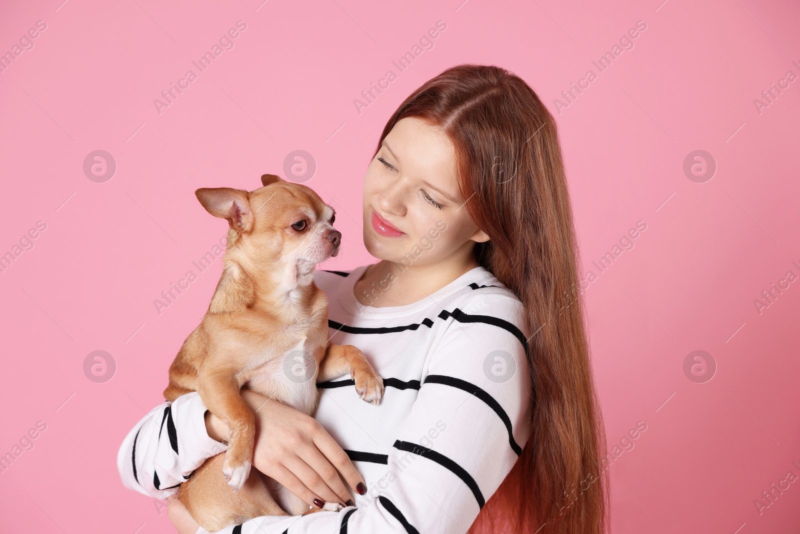 Photo of Teenage girl with her cute Chihuahua dog on pink background