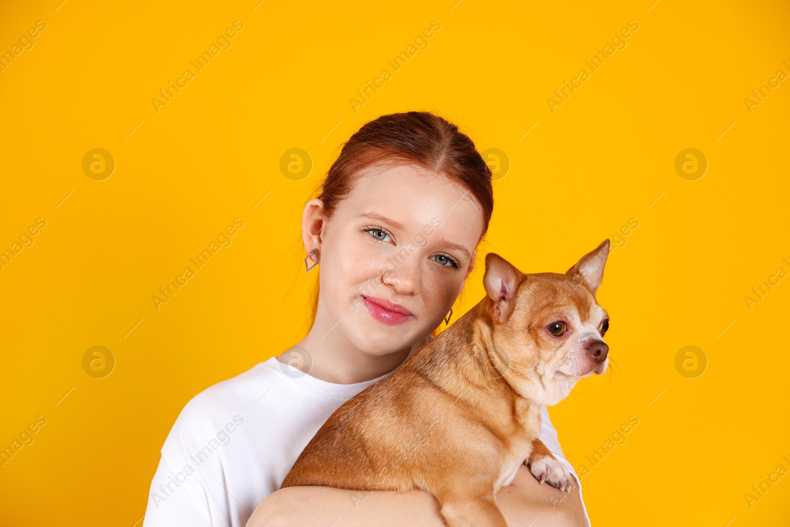 Photo of Teenage girl with her cute Chihuahua dog on yellow background