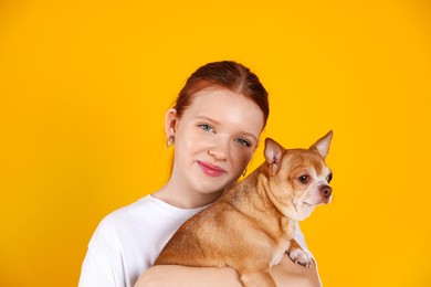 Teenage girl with her cute Chihuahua dog on yellow background