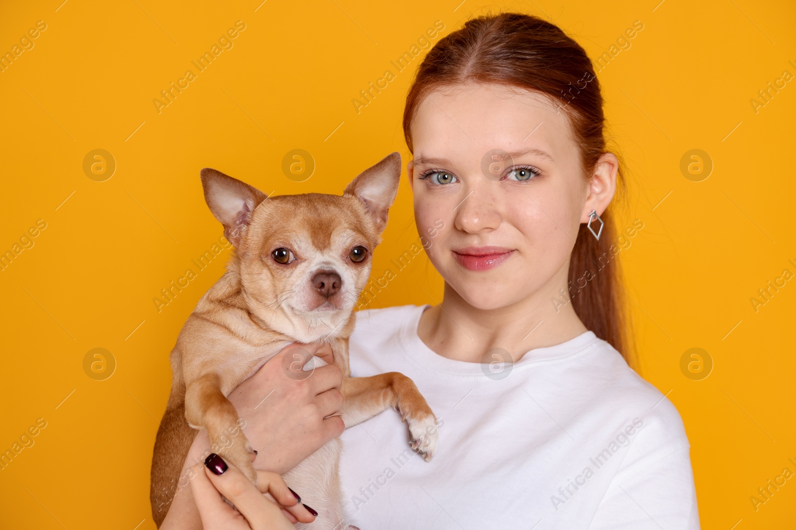 Photo of Teenage girl with her cute Chihuahua dog on yellow background