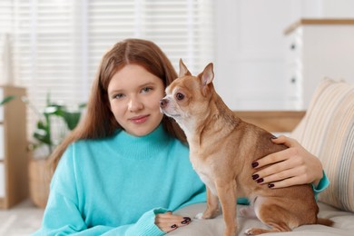 Photo of Teenage girl with her cute Chihuahua dog on sofa at home, selective focus