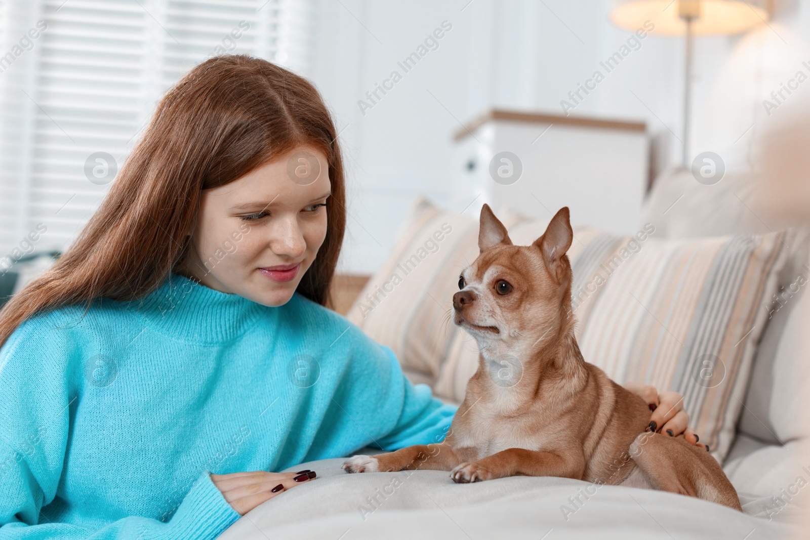 Photo of Teenage girl with her cute Chihuahua dog on sofa at home