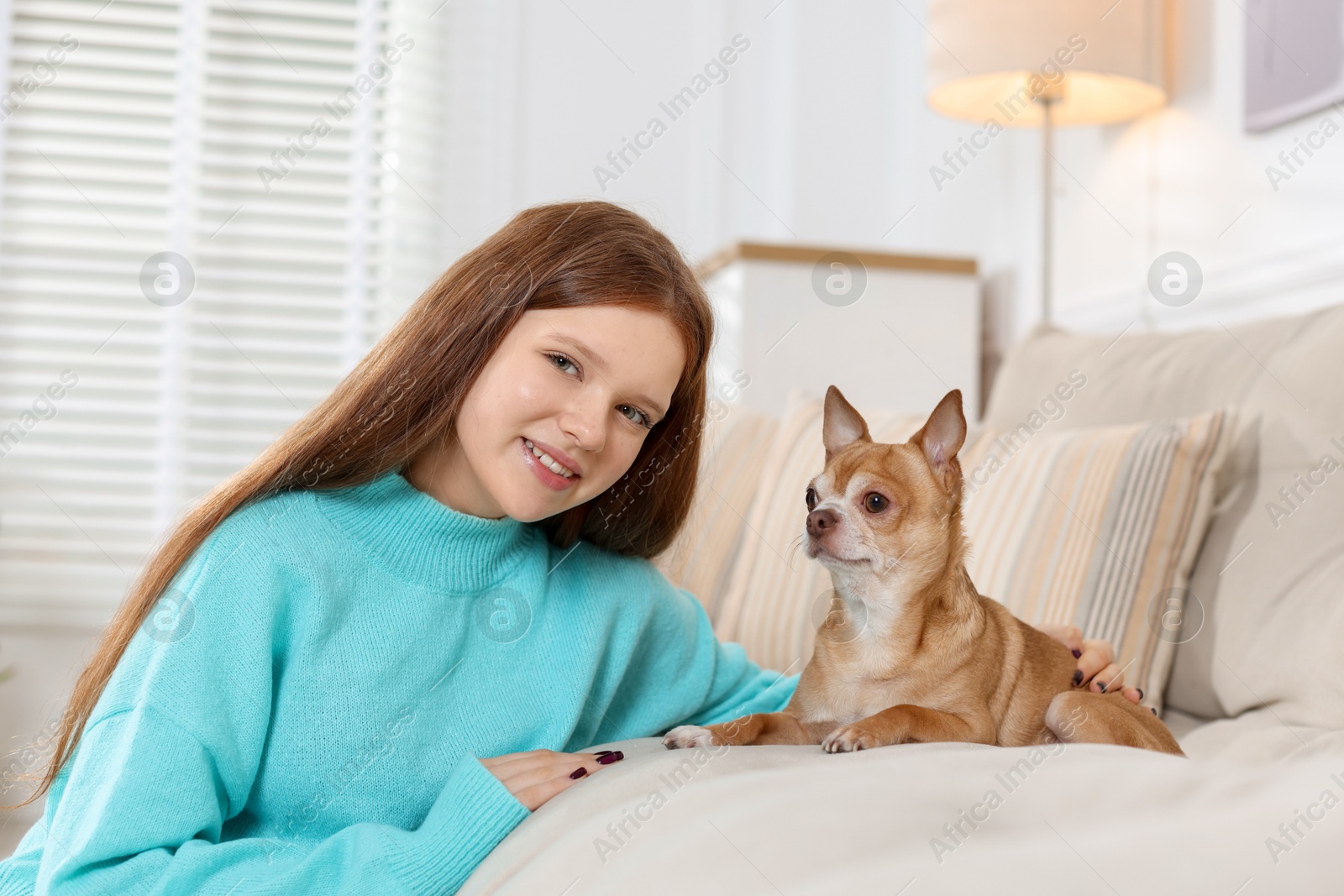 Photo of Teenage girl with her cute Chihuahua dog on sofa at home