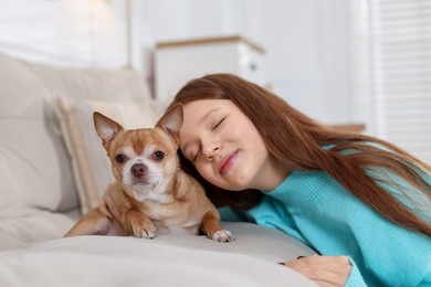 Photo of Teenage girl with her cute Chihuahua dog on sofa at home