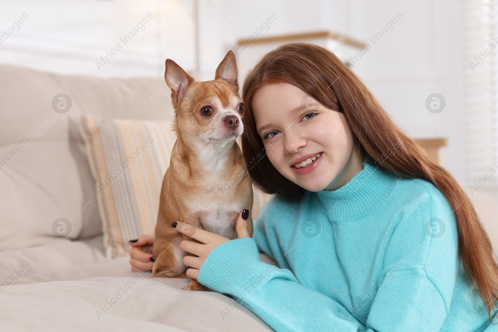 Photo of Teenage girl with her cute Chihuahua dog on sofa at home