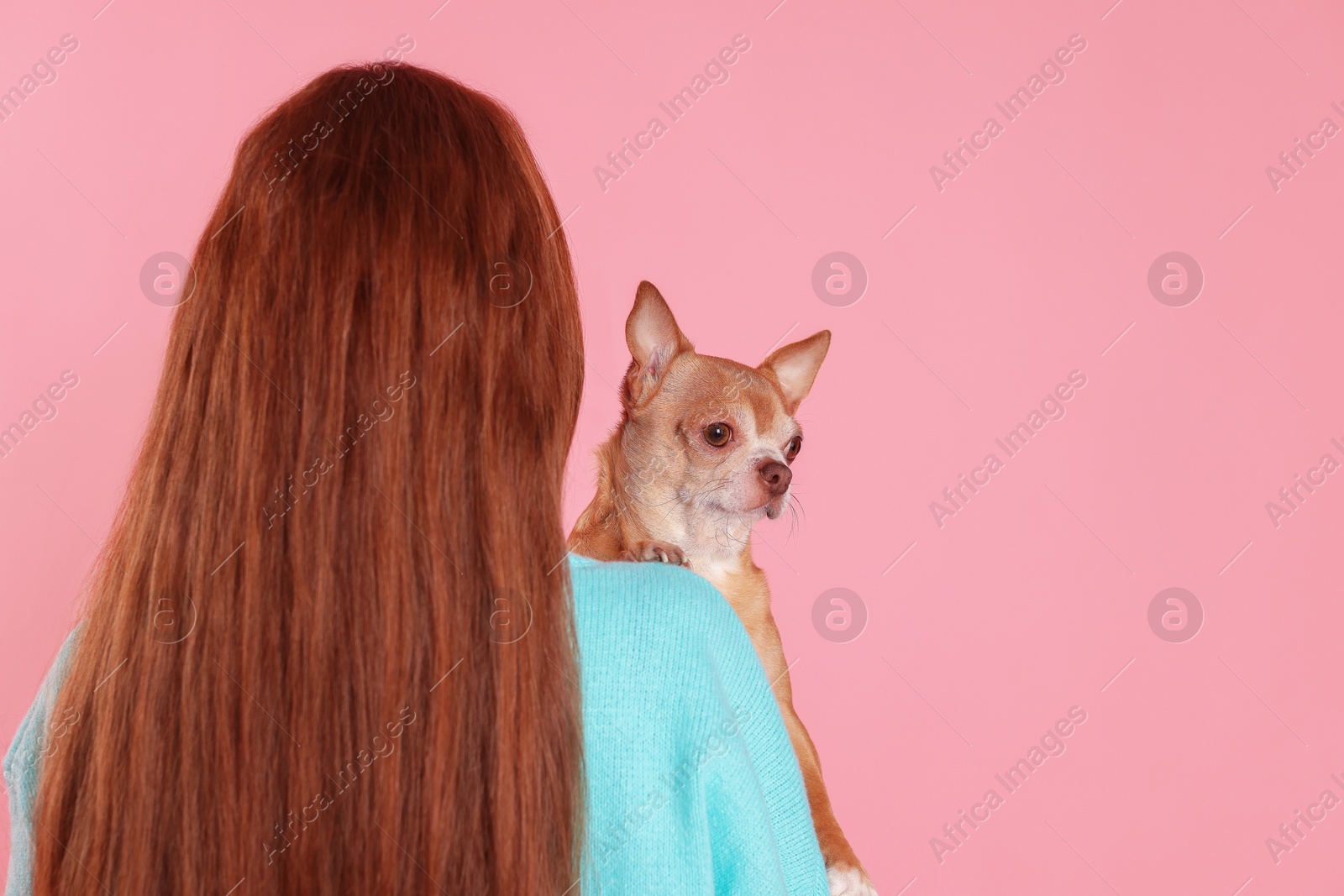 Photo of Teenage girl with her cute Chihuahua dog on pink background, space for text