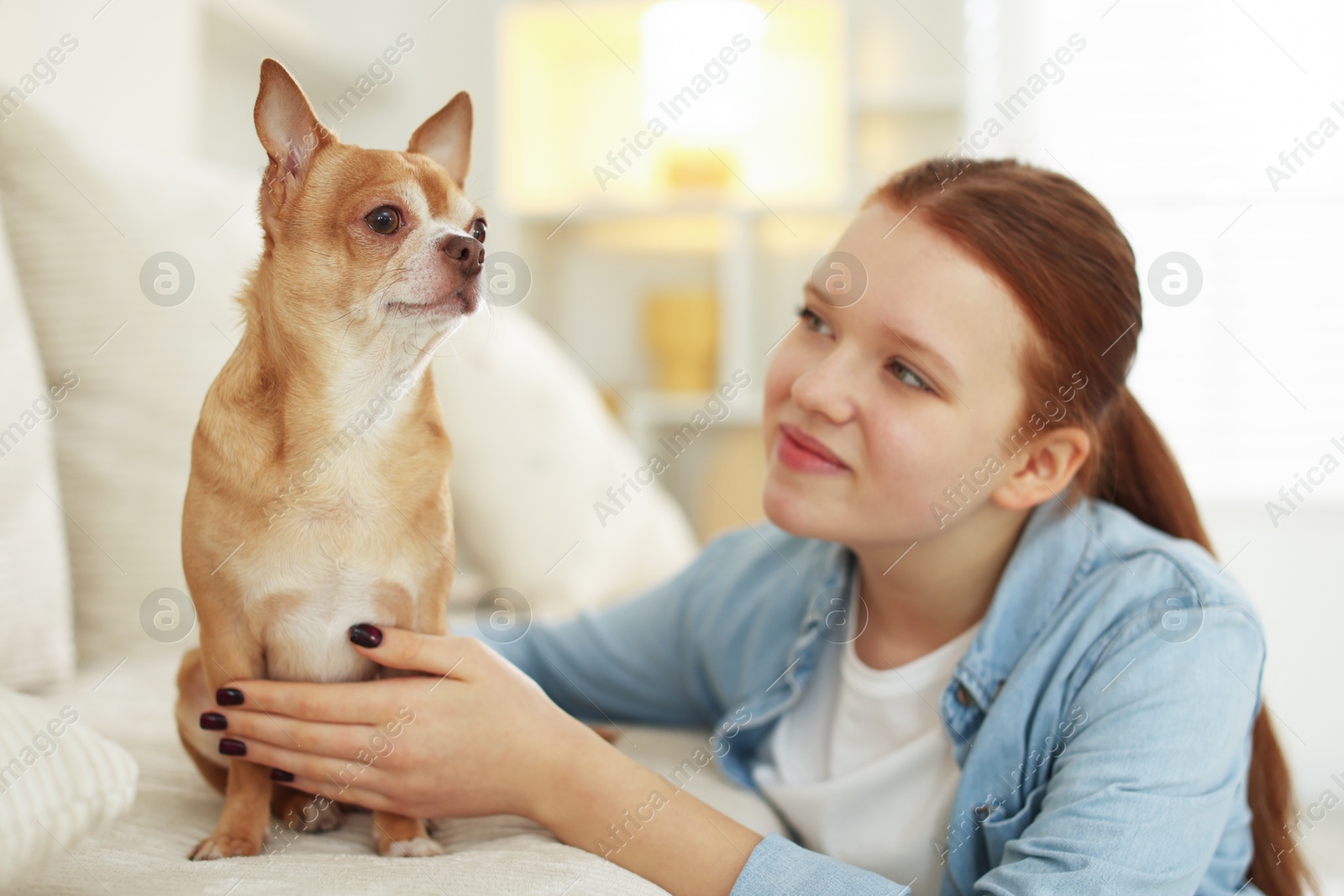 Photo of Teenage girl with her cute Chihuahua dog on sofa at home, selective focus