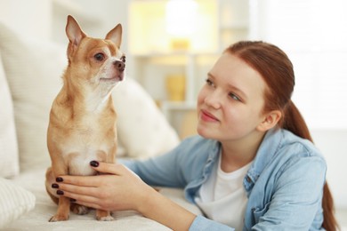 Photo of Teenage girl with her cute Chihuahua dog on sofa at home, selective focus