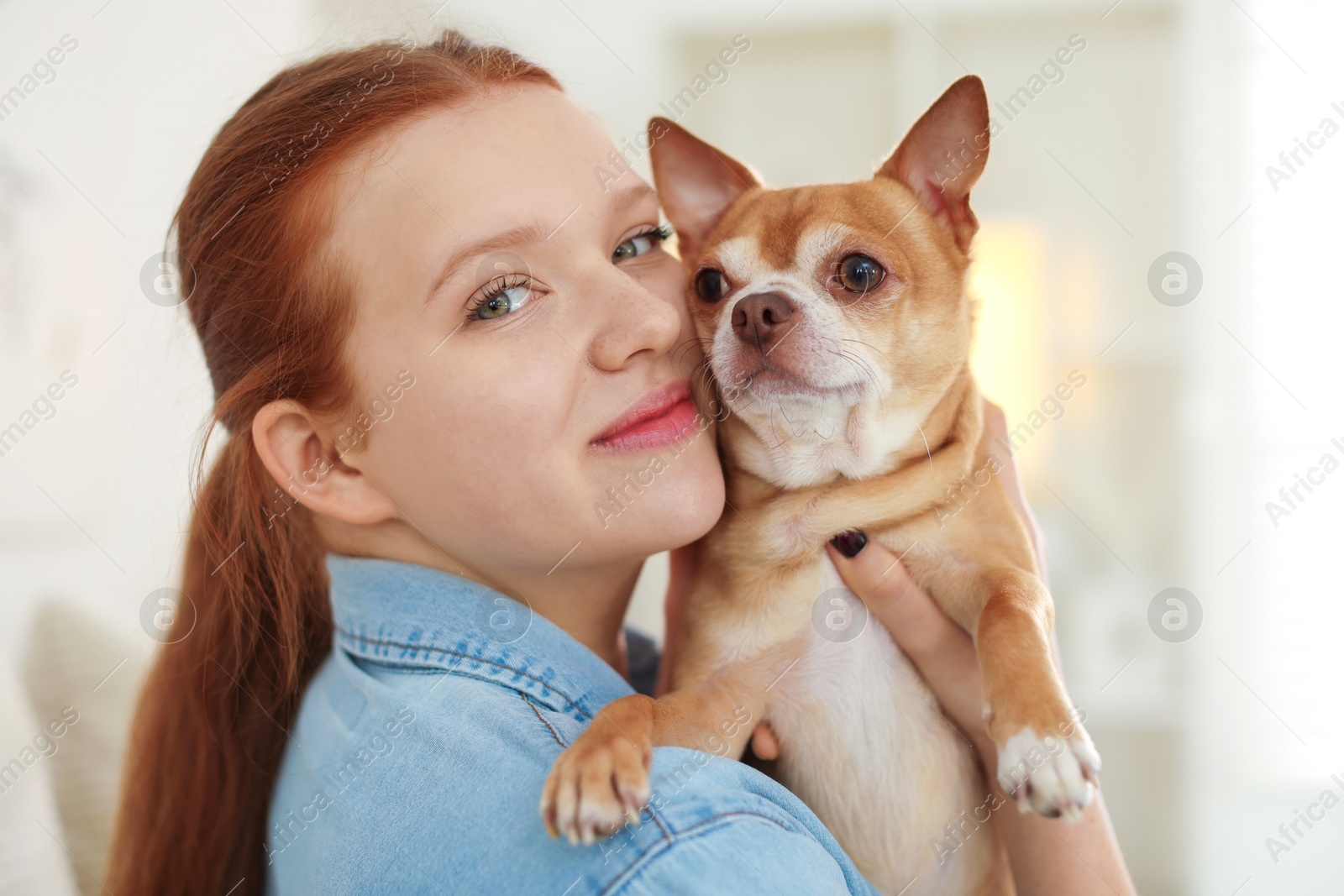 Photo of Teenage girl with her cute Chihuahua dog at home, closeup