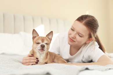 Photo of Teenage girl with her cute Chihuahua dog on bed at home, selective focus