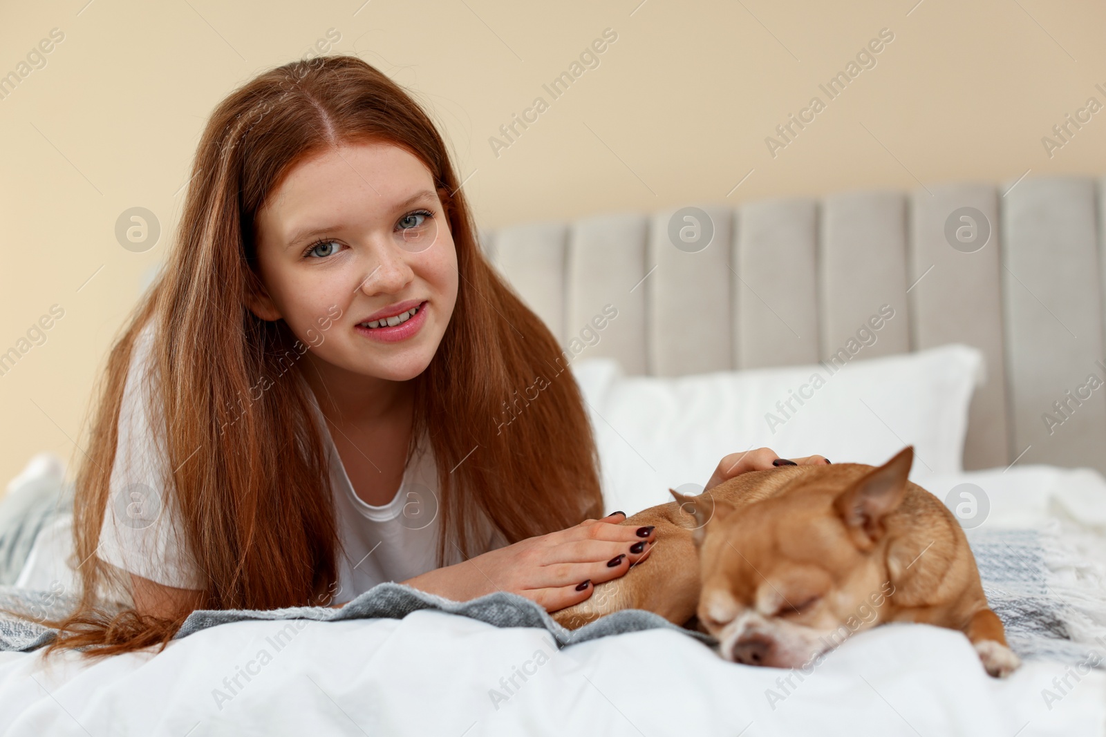 Photo of Teenage girl with her cute Chihuahua dog on bed at home