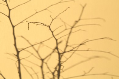 Photo of Shadows of tree branches falling on beige background