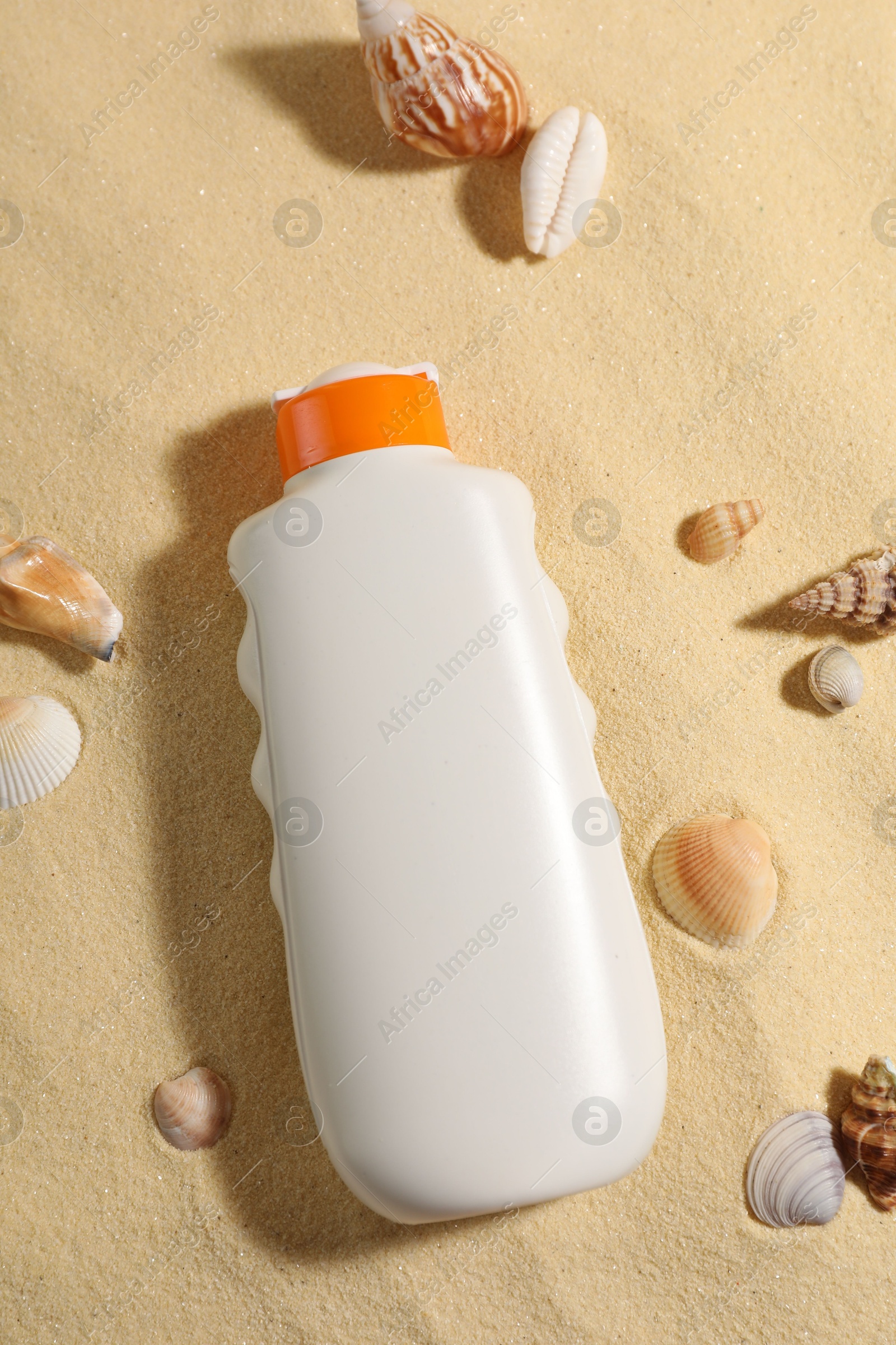 Photo of Bottle of sun protection product and seashells on sand, flat lay