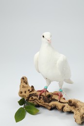 Photo of Beautiful dove with green branch and snag on white background