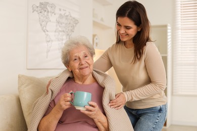 Granddaughter giving hot drink to her grandmother at home. Elderly care