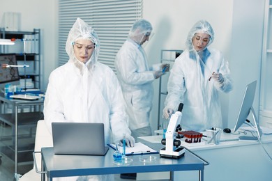 Photo of Scientists working with computers and samples in laboratory