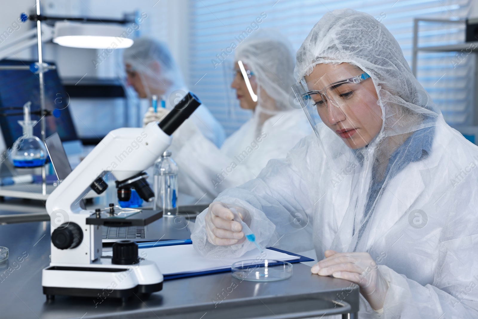 Photo of Scientist dripping sample into Petri dish at table in laboratory