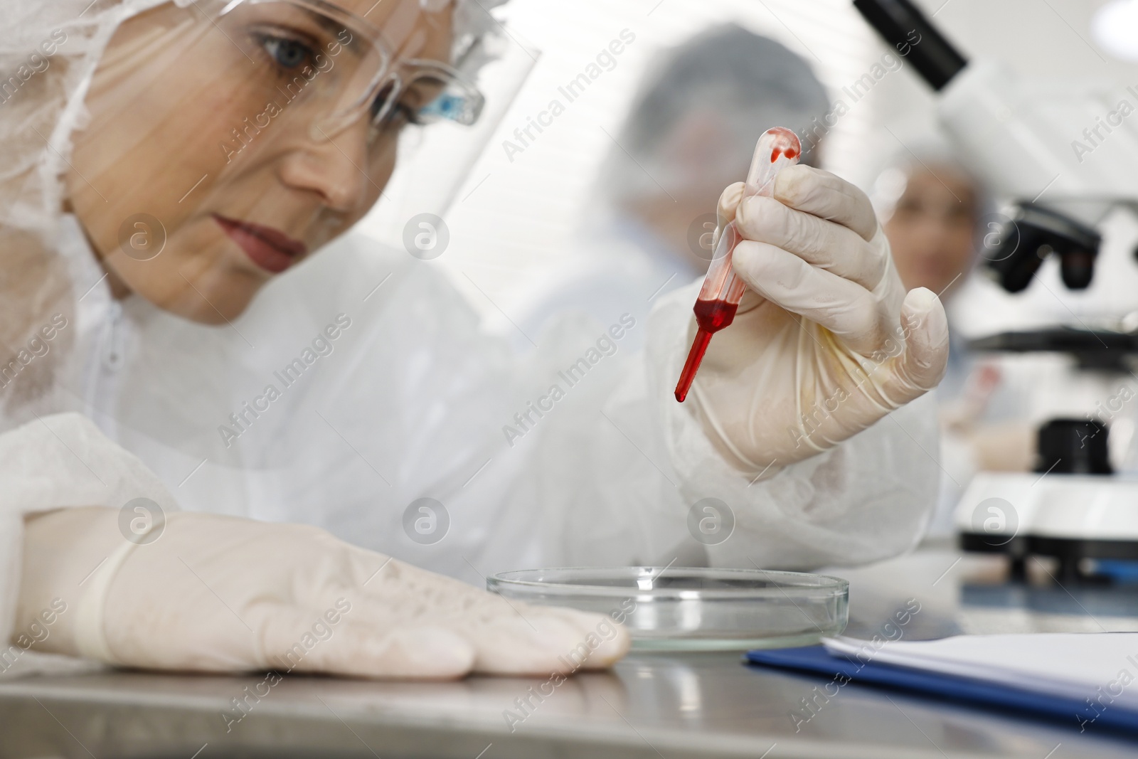 Photo of Scientist dripping blood sample onto Petri dish at table in laboratory, closeup