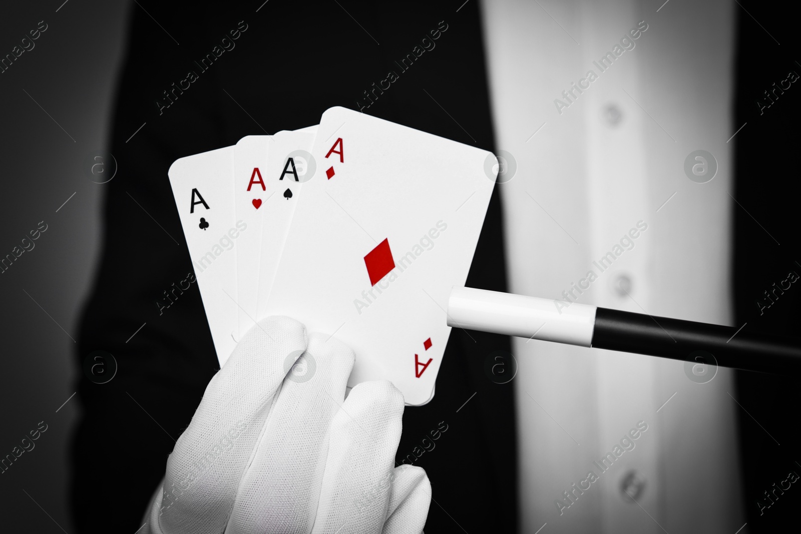 Photo of Illusionist pointing magic wand on playing cards against grey background, closeup