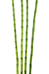 Photo of Decorative green bamboo stems isolated on white