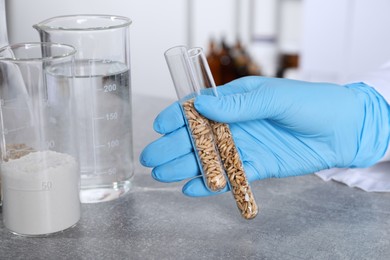 Photo of Laboratory testing. Scientist pouring holding test tubes with oat grains at grey table indoors, closeup