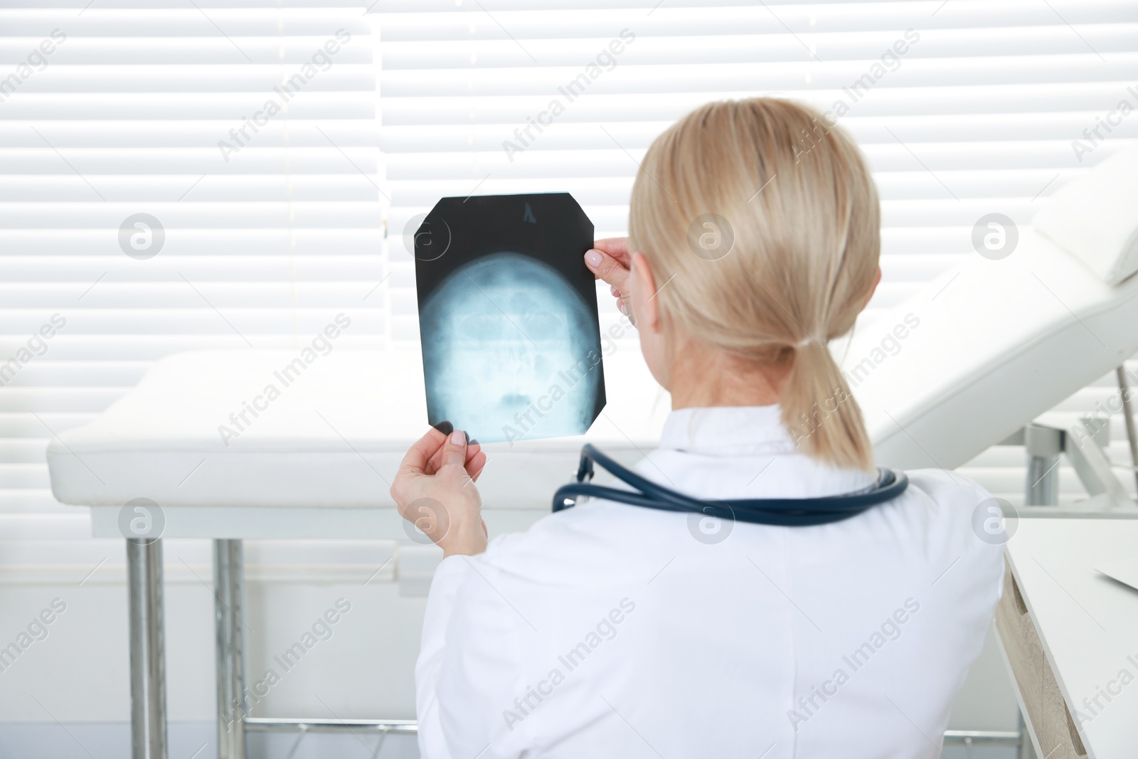 Photo of Doctor examining x-ray image of paranasal sinuses in clinic, back view. Space for text