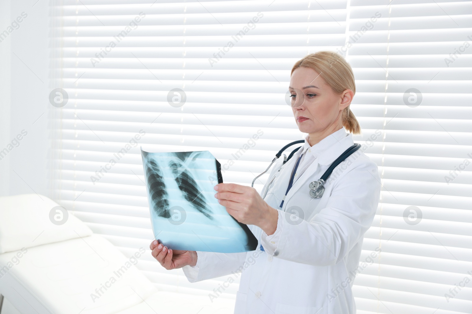 Photo of Doctor examining x-ray image of lungs in clinic