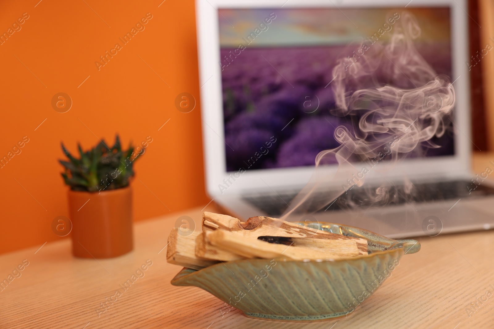 Photo of Palo santo sticks, laptop and houseplant on wooden table against orange wall