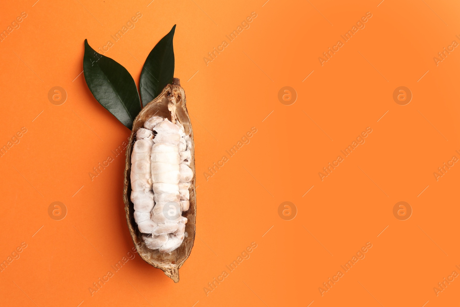 Cocoa pod with beans on orange background, top view. Space for text Photo of Cocoa pod with beans on orange background, top view. Space for text