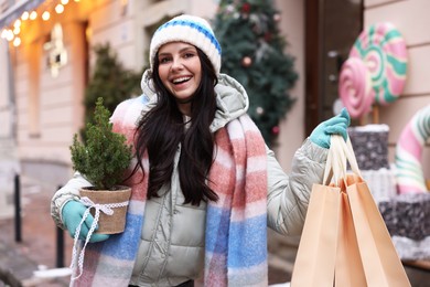 Happy woman with thuja tree and shopping bags on city street. Christmas season