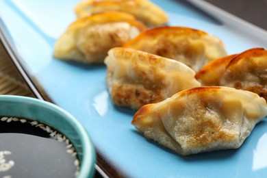 Fried gyoza dumplings and soy sauce on table, closeup