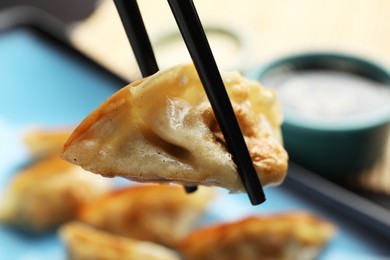 Eating fried gyoza dumplings at table, closeup