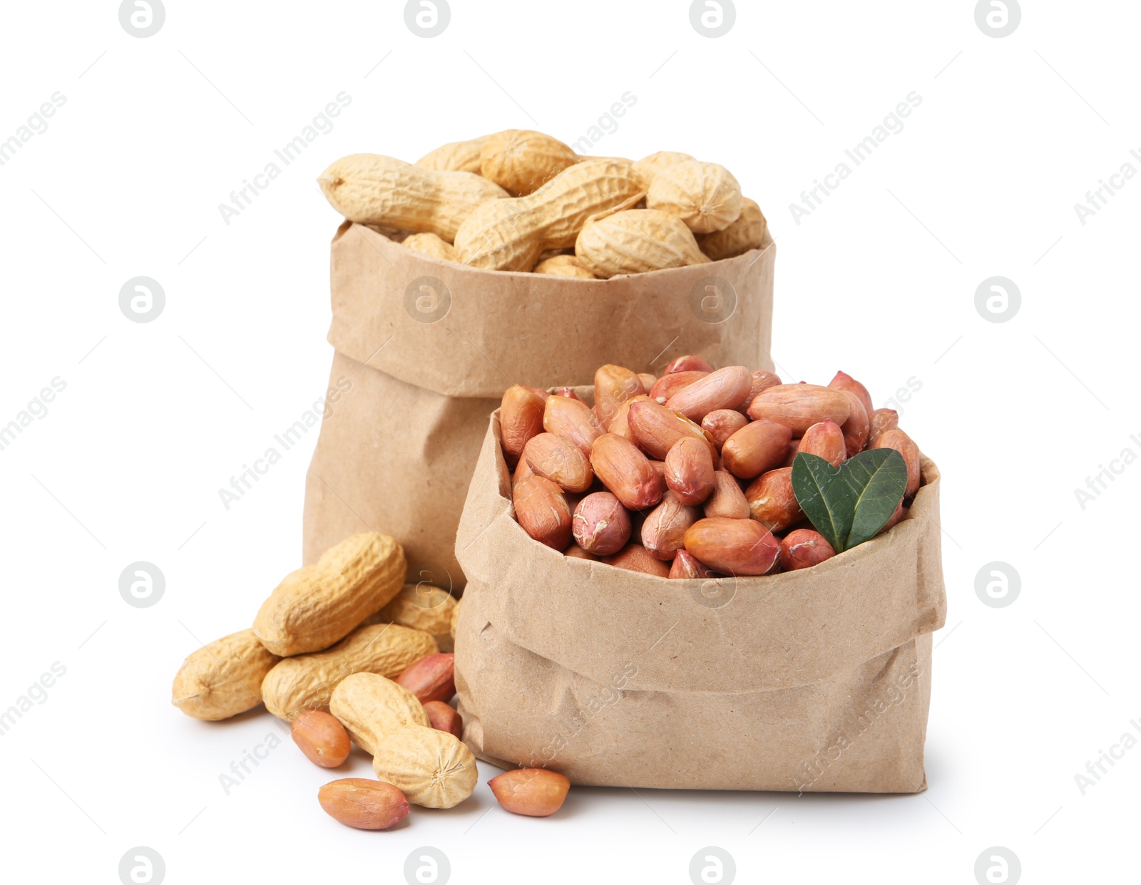 Fresh peanuts in paper bags isolated on white Photo of Fresh peanuts in paper bags isolated on white