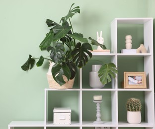 Photo of Shelving unit with decor near olive wall indoors