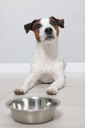 Photo of Cute Jack Russell Terrier dog with bowl on floor near grey wall, selective focus