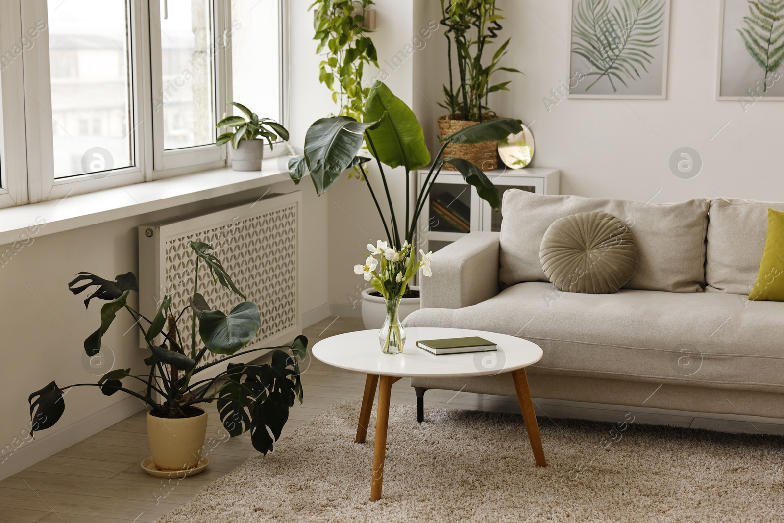 Photo of Feng shui. Stylish room with comfortable couch and houseplants