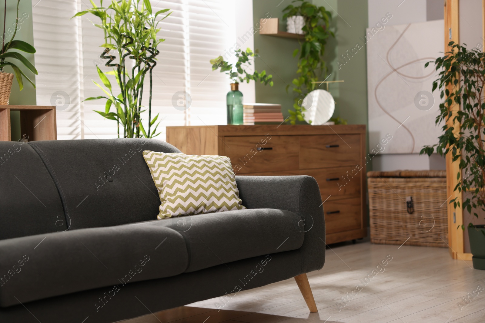 Photo of Feng shui. Stylish room with comfortable couch and houseplants