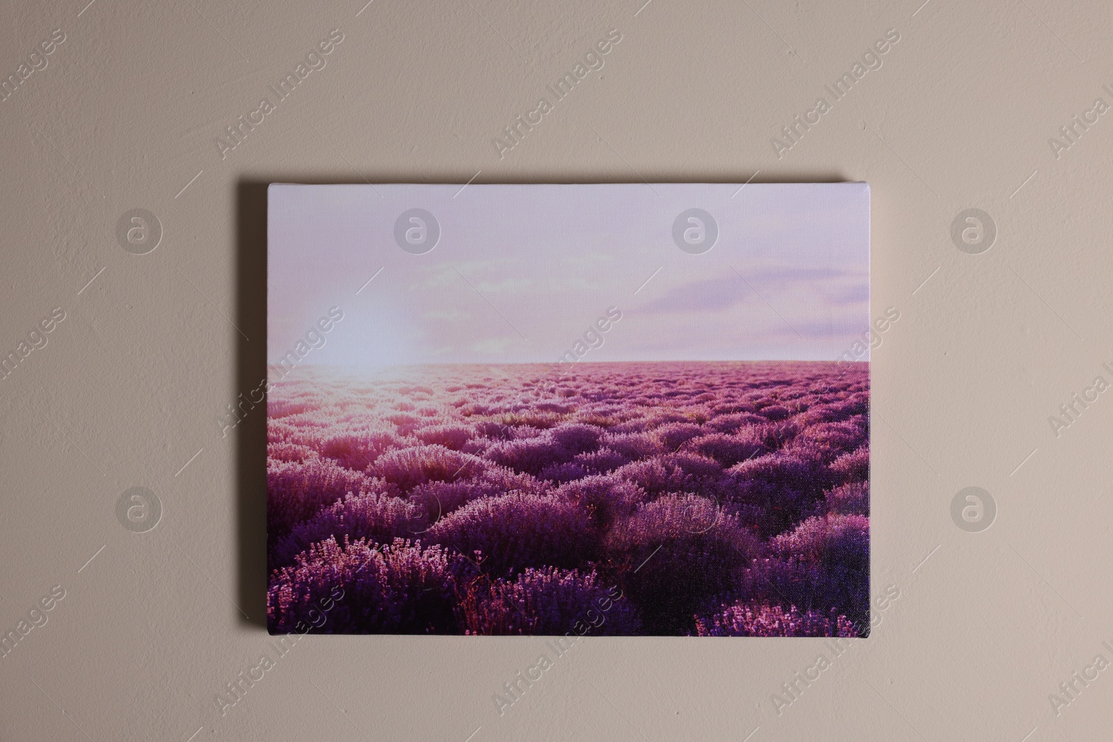 Photo of Canvas with printed photo of beautiful lavender field on beige wall indoors