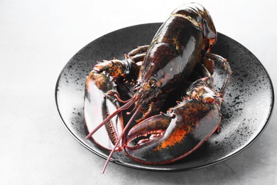 One raw lobster on grey textured table, closeup