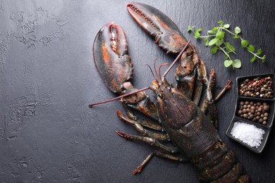 Photo of Raw lobster, microgreens and spices on dark textured table, top view. Space for text