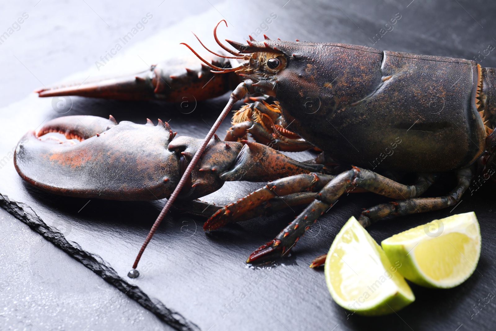 Photo of Raw lobster and cut lime on dark textured table, closeup