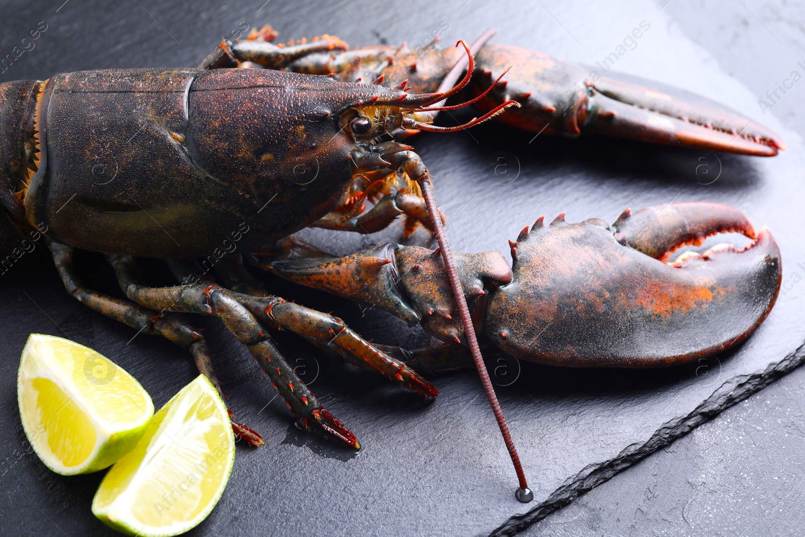 Photo of Raw lobster and cut lime on dark textured table, closeup