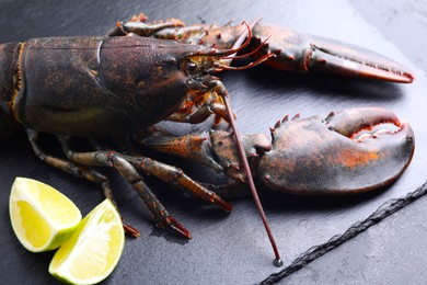 Photo of Raw lobster and cut lime on dark textured table, closeup