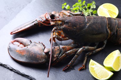 Photo of Raw lobster, cut lime and microgreens on dark textured table, closeup